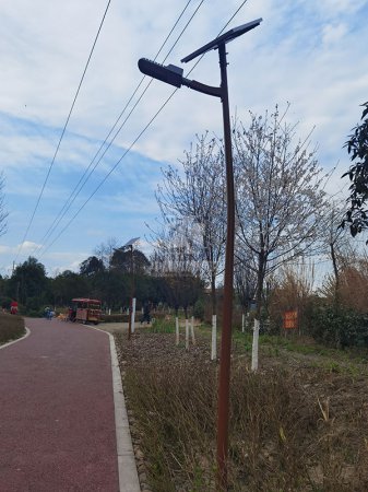 新都區(qū)芳華微馬公園